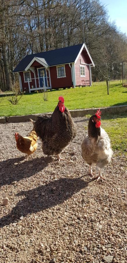 Willa Lill Hagahus, Soederasens Nationalpark Kågeröd Zewnętrze zdjęcie