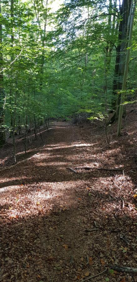 Willa Lill Hagahus, Soederasens Nationalpark Kågeröd Zewnętrze zdjęcie