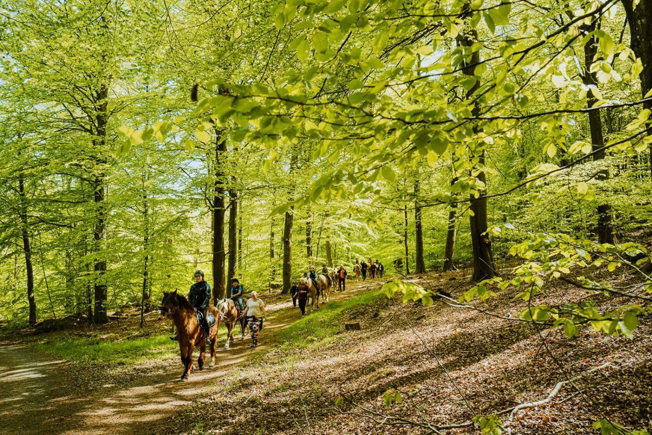 Willa Lill Hagahus, Soederasens Nationalpark Kågeröd Zewnętrze zdjęcie