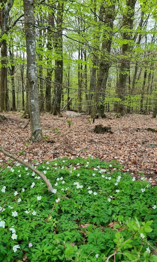 Willa Lill Hagahus, Soederasens Nationalpark Kågeröd Zewnętrze zdjęcie