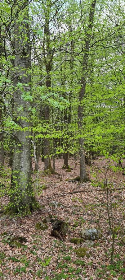 Willa Lill Hagahus, Soederasens Nationalpark Kågeröd Zewnętrze zdjęcie